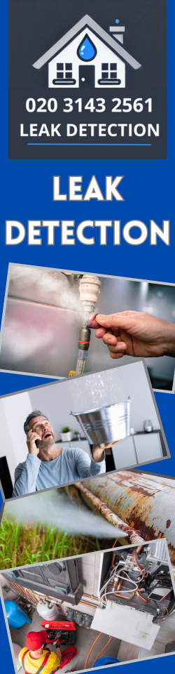 Shorne Leak Detection
