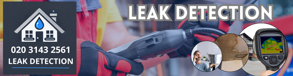 Shorne Leak Detection