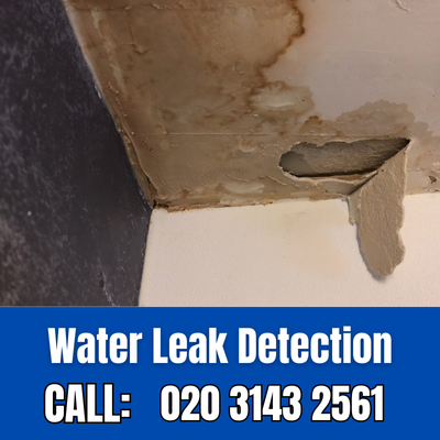 Expert Water Leak Detection Services in Shorne | Shorne Leak Detection